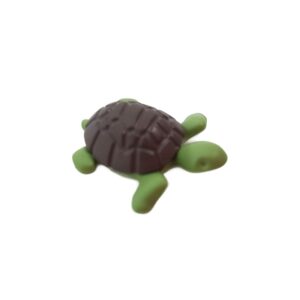 A023 Cría de Tortuga